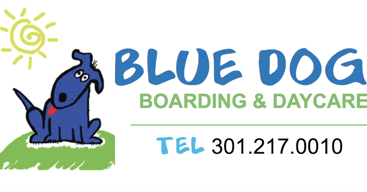 Blue Dog Boarding and Daycare Kensington | Bethesda MD | DC