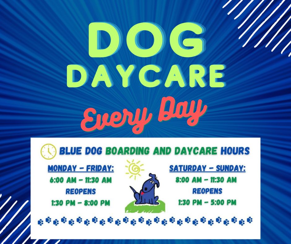 Dog Daycare is Every Day