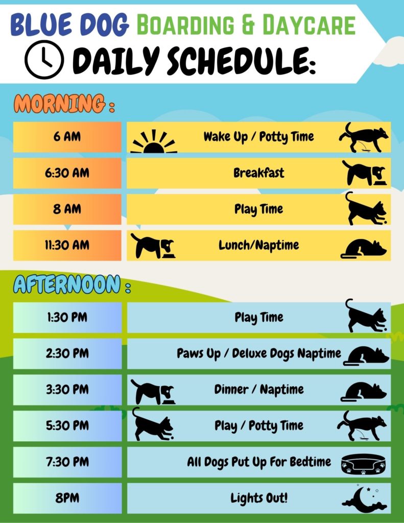 Daily activity schedule when your dog boards at Blue Dog Boarding and Daycare.